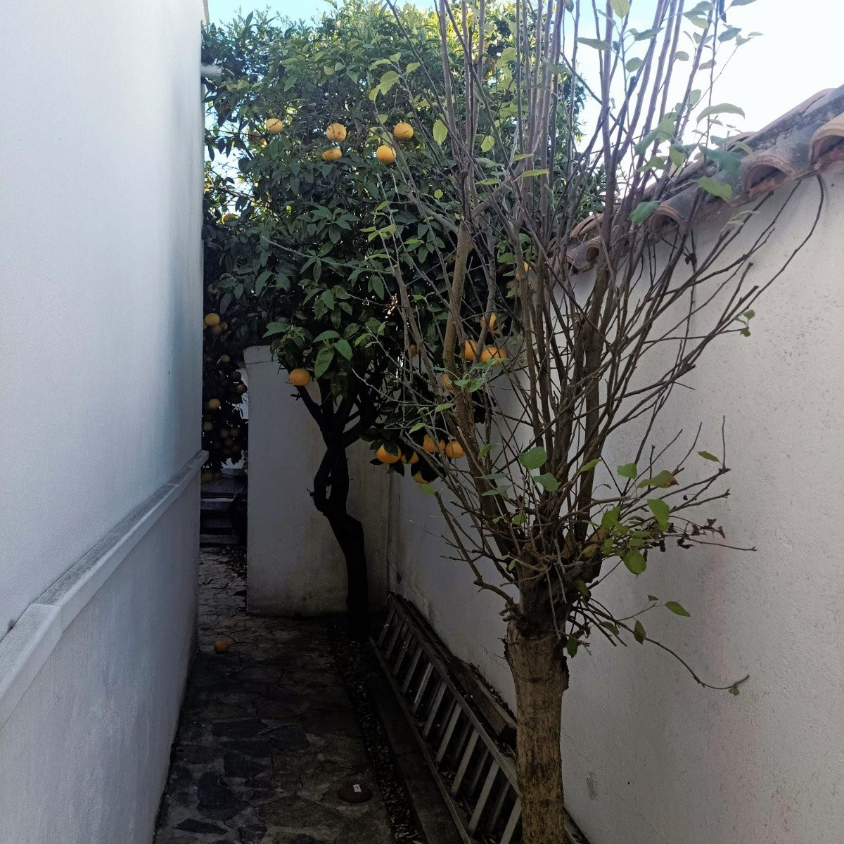 Villa · Reventa - Orihuela Costa · Alicante · España