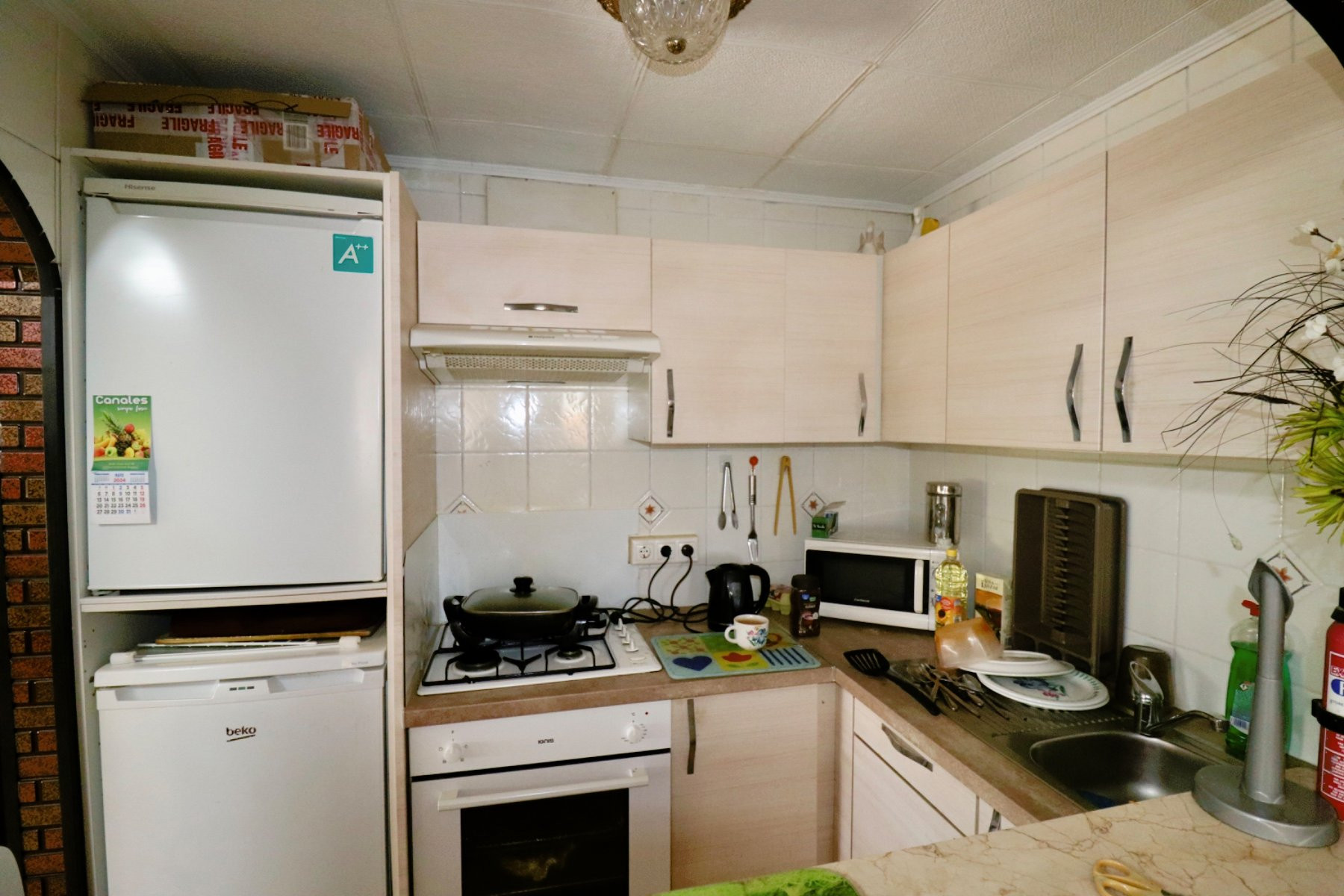 Casa de campo · Reventa - Almoradí · Alicante · España