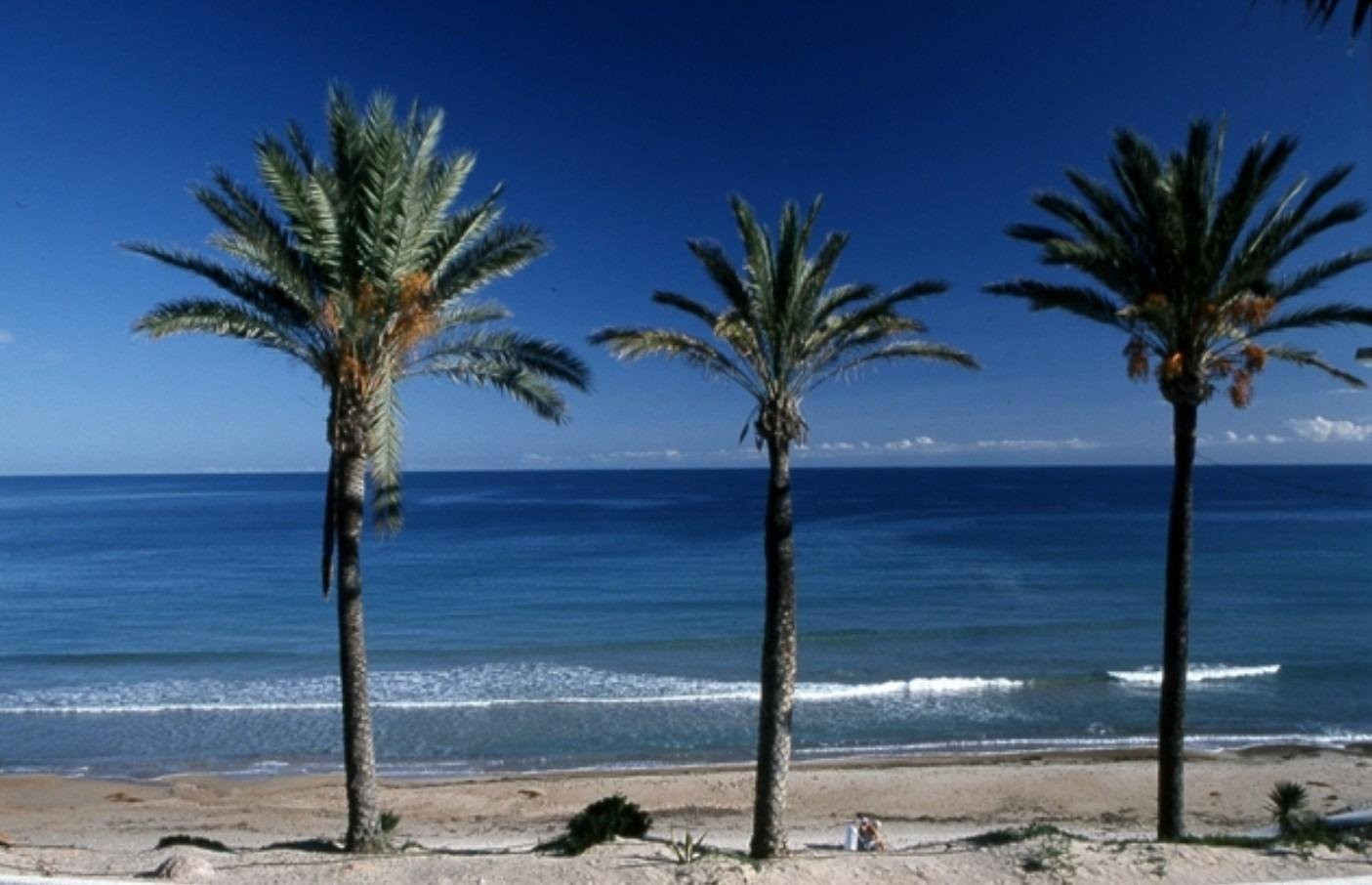 Bungalow · Nouvelle construction - Pilar de la Horadada · Alicante · Espagne
