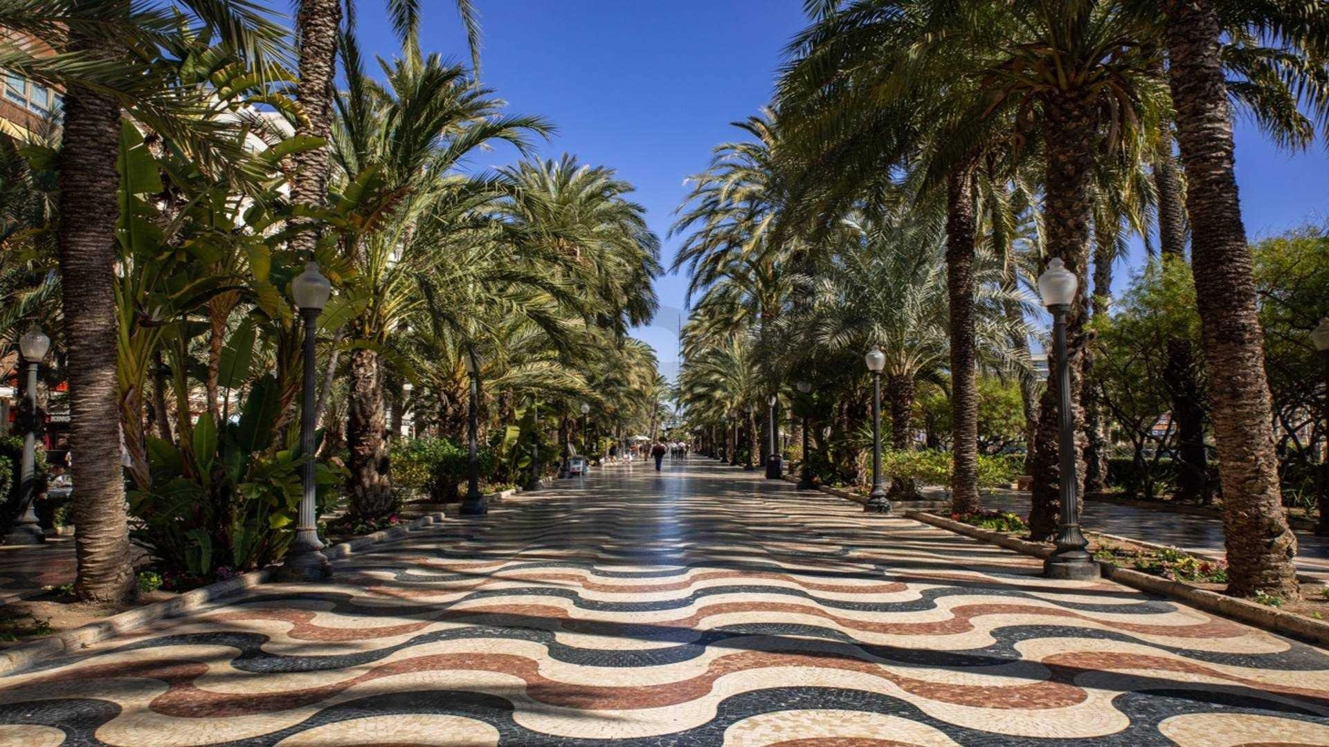 Apartamento · Obra nueva - Alicante · España