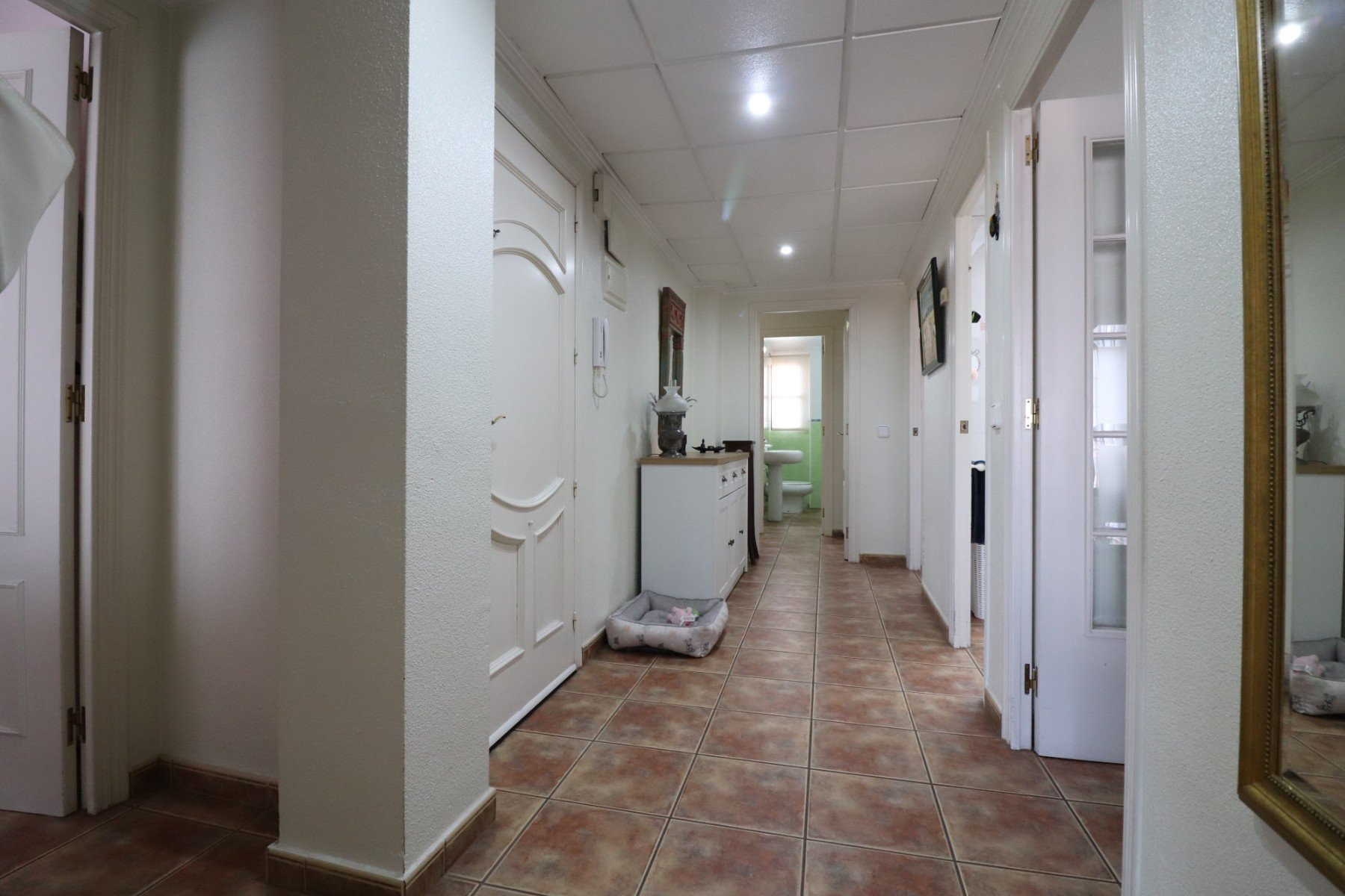Apartamento · Reventa - Dolores · Alicante · España