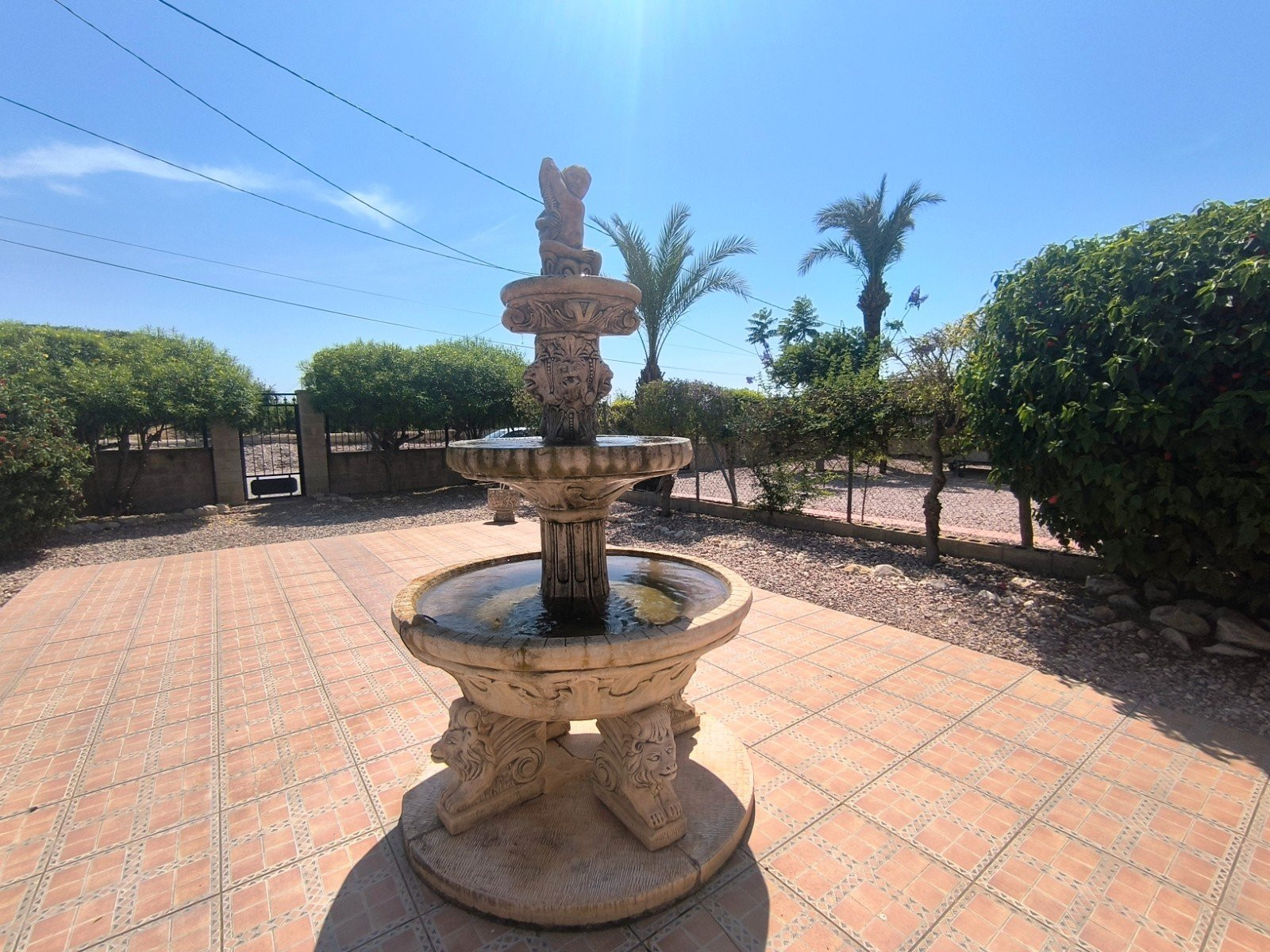 Finca · Revente - Albatera · Alicante · Espagne