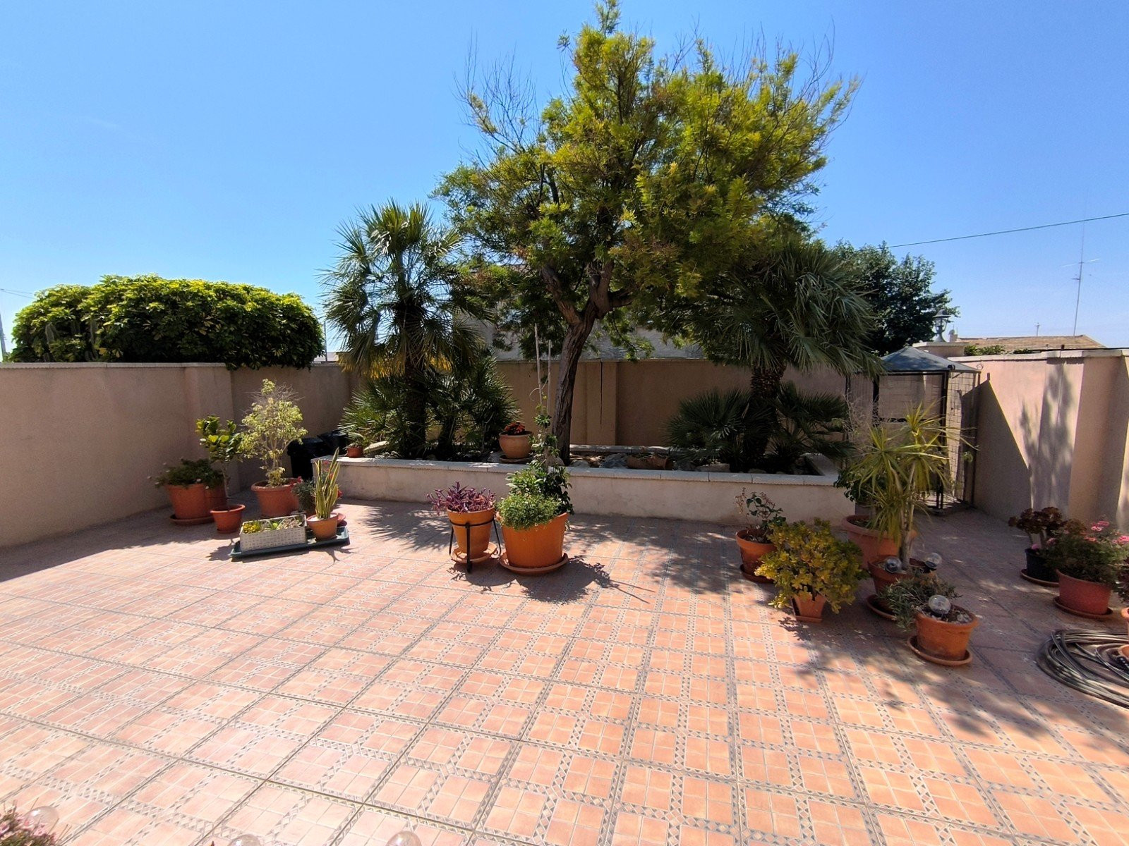 Finca · Revente - Albatera · Alicante · Espagne