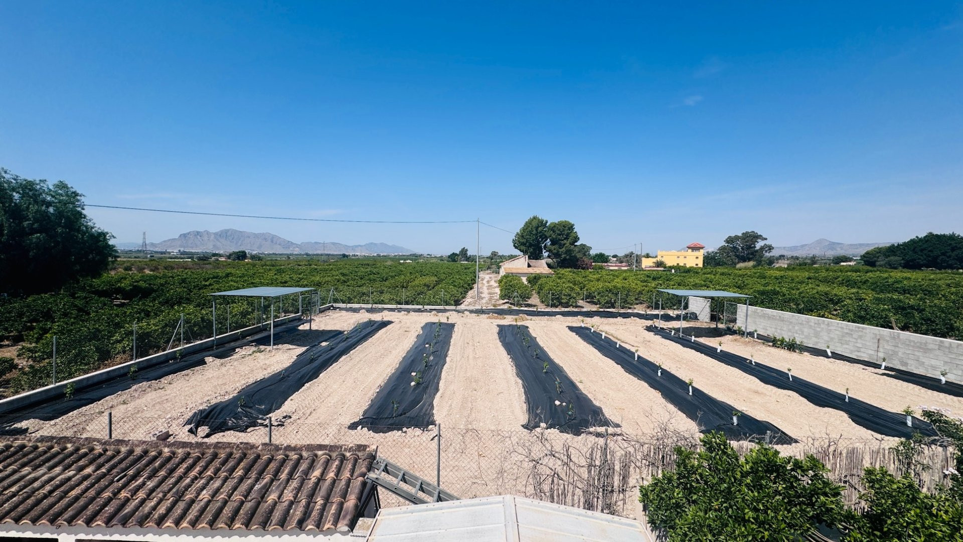 Finca · Revente - Albatera · Alicante · Espagne