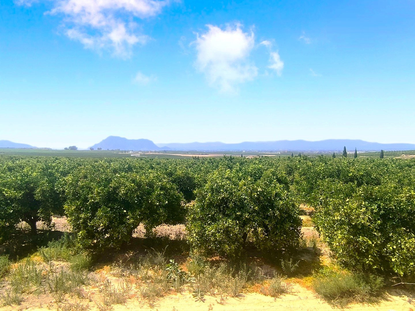 Appartement · Revente - Algorfa · La Finca Golf Resort · Alicante · Espagne Appartement · Revente - Algorfa · La Finca Golf Resort · Alicante · Espagne