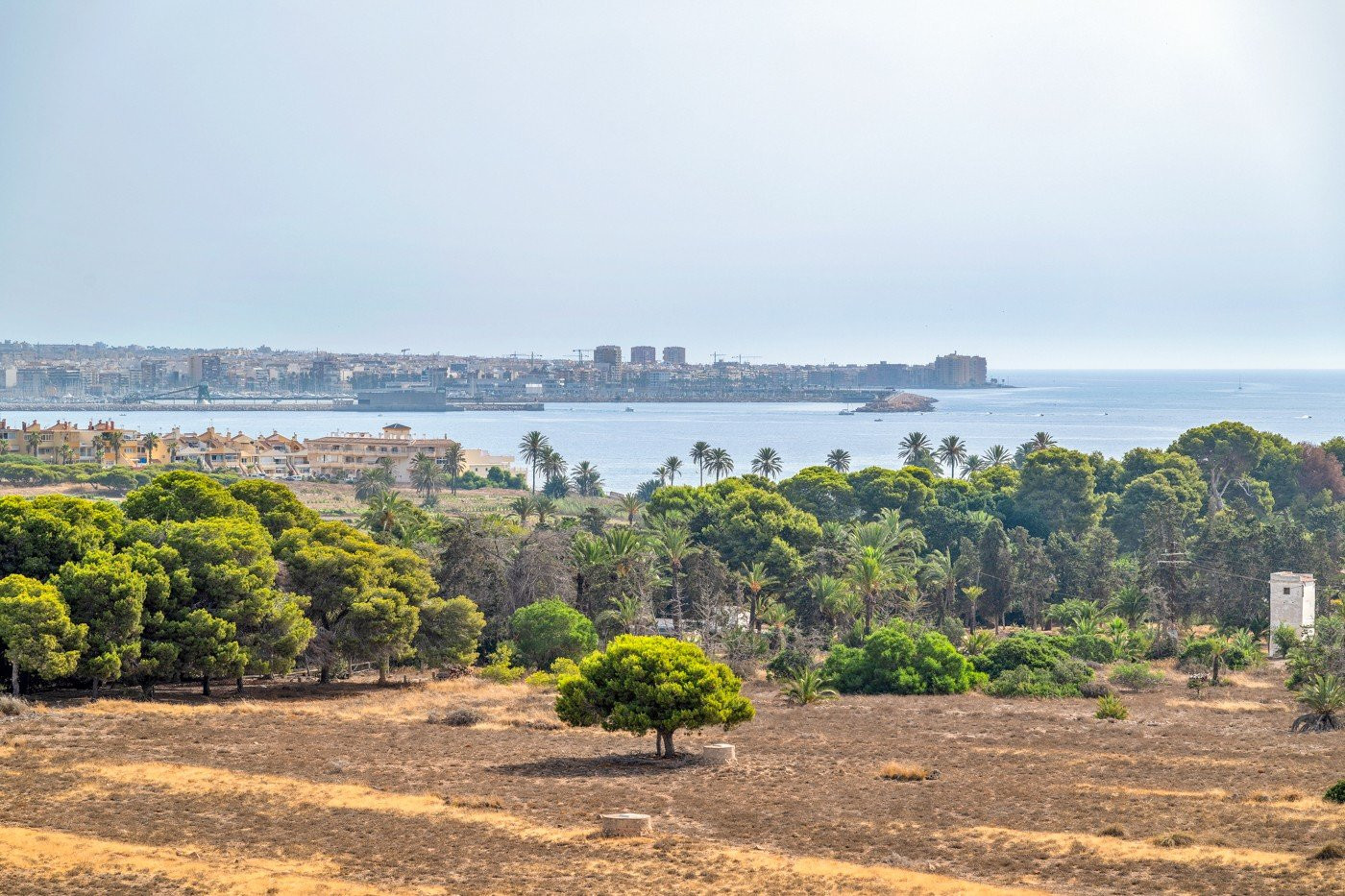 Apartamento · Reventa - Orihuela Costa · Punta Prima · Alicante · España Apartamento · Reventa - Orihuela Costa · Punta Prima · Alicante · España