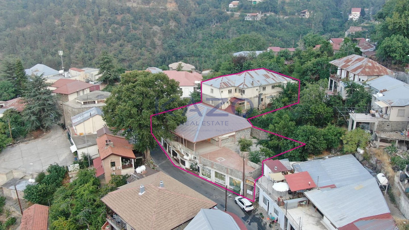 HoReCa 841 m² for sale in Pedoulas, Nicosia, Cyprus