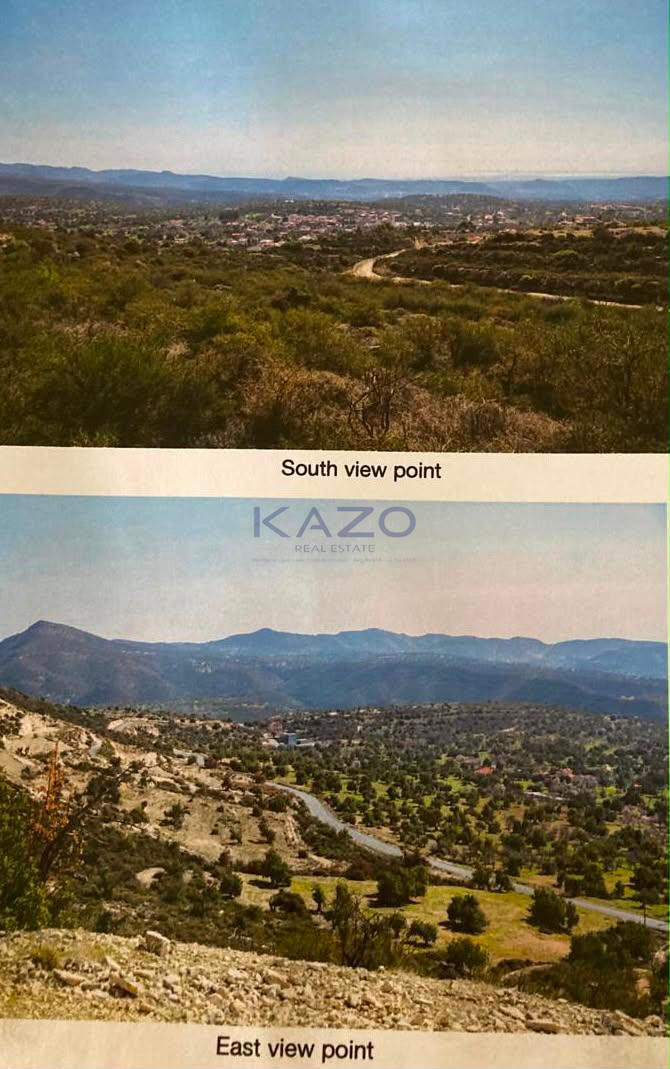 Plot of land for sale 36996 m² in Apesia, Limassol, Cyprus
