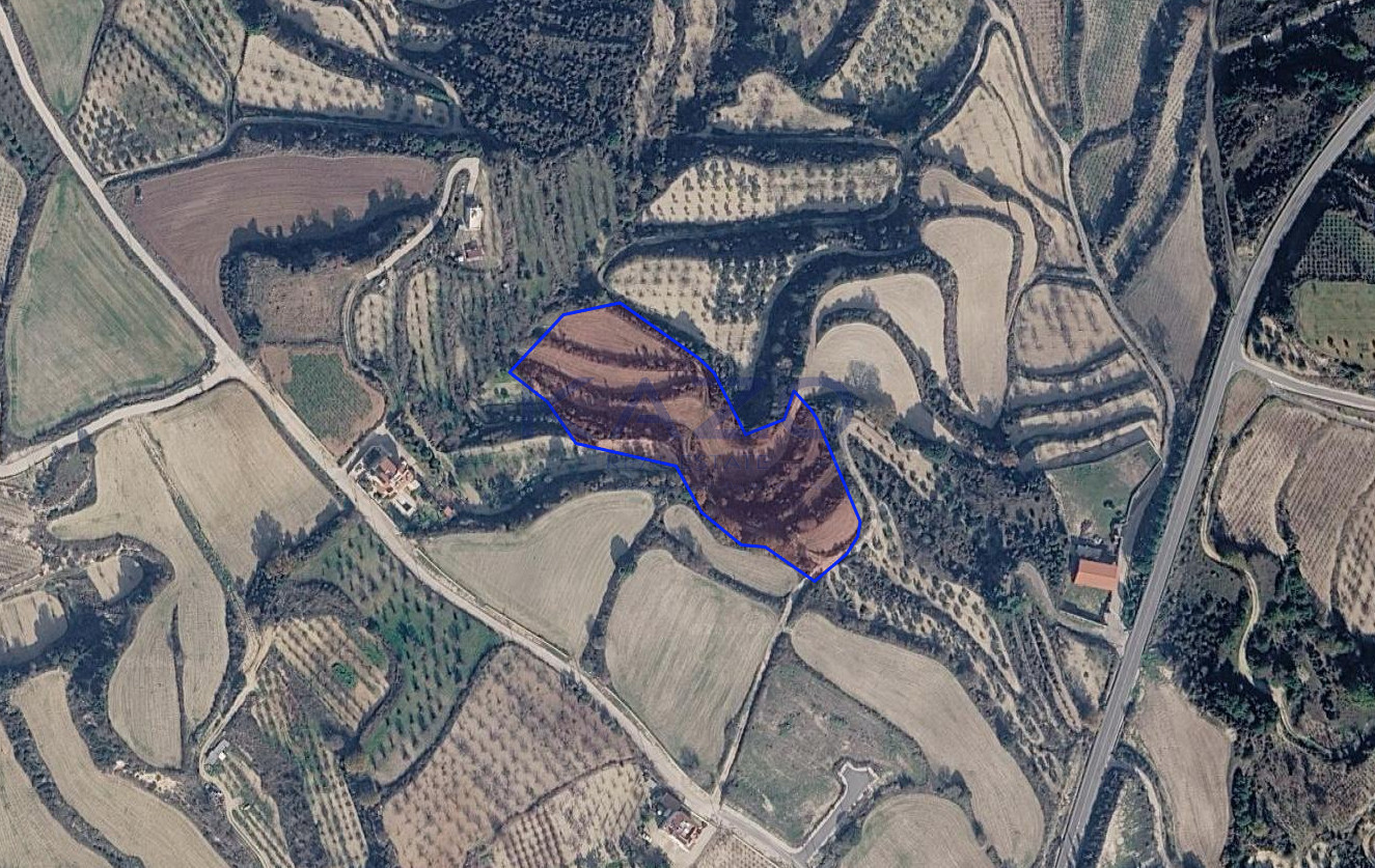 Agricultural field of 8,696 m² in Kallepeia, Paphos photo 1