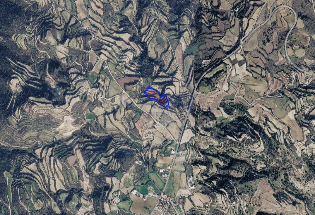 Agricultural field of 8,696 m² in Kallepeia, Paphos photo 2