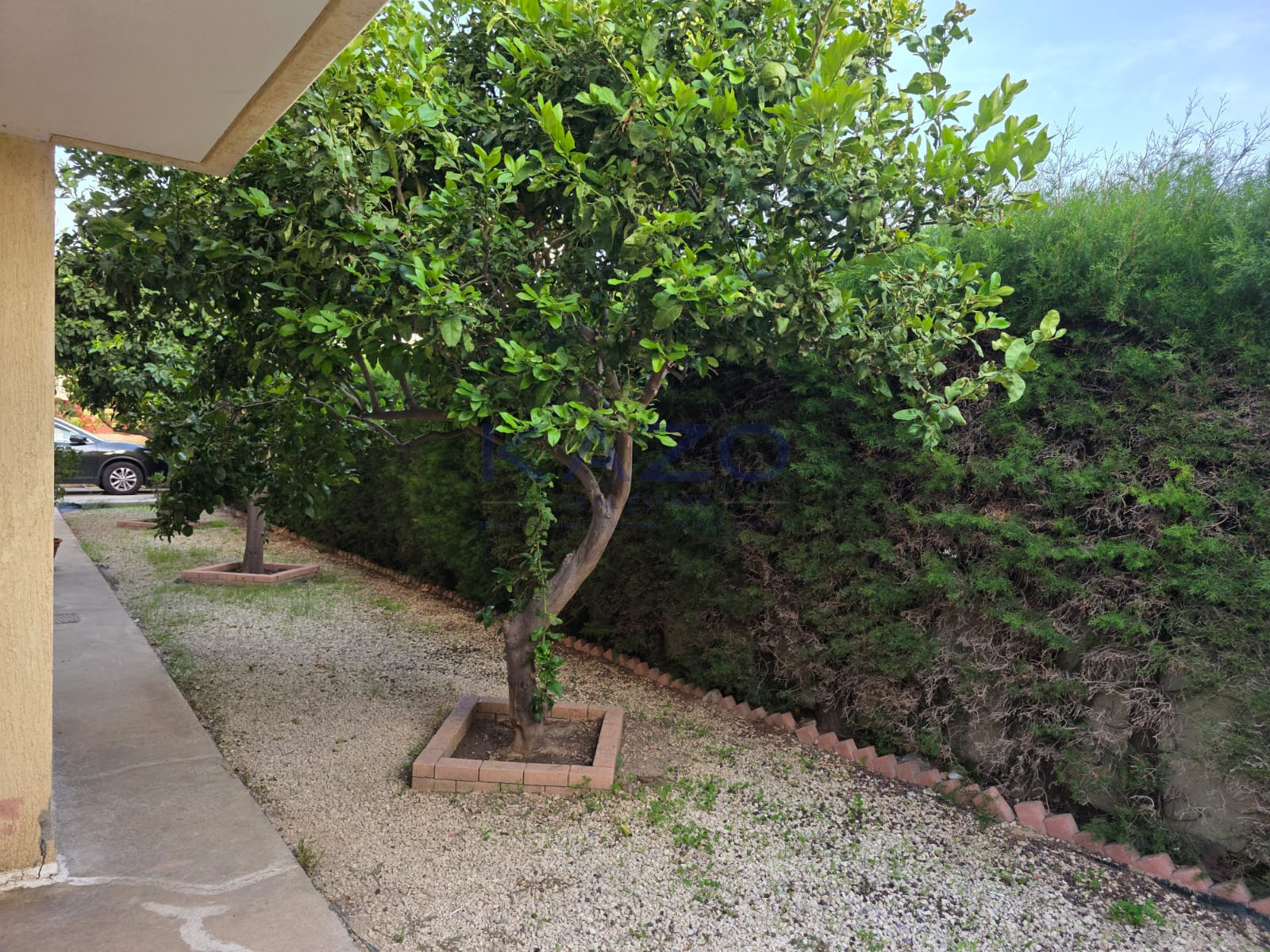 Furnished 3-bed apartment in Petrou & Pavlou, Limassol photo 16