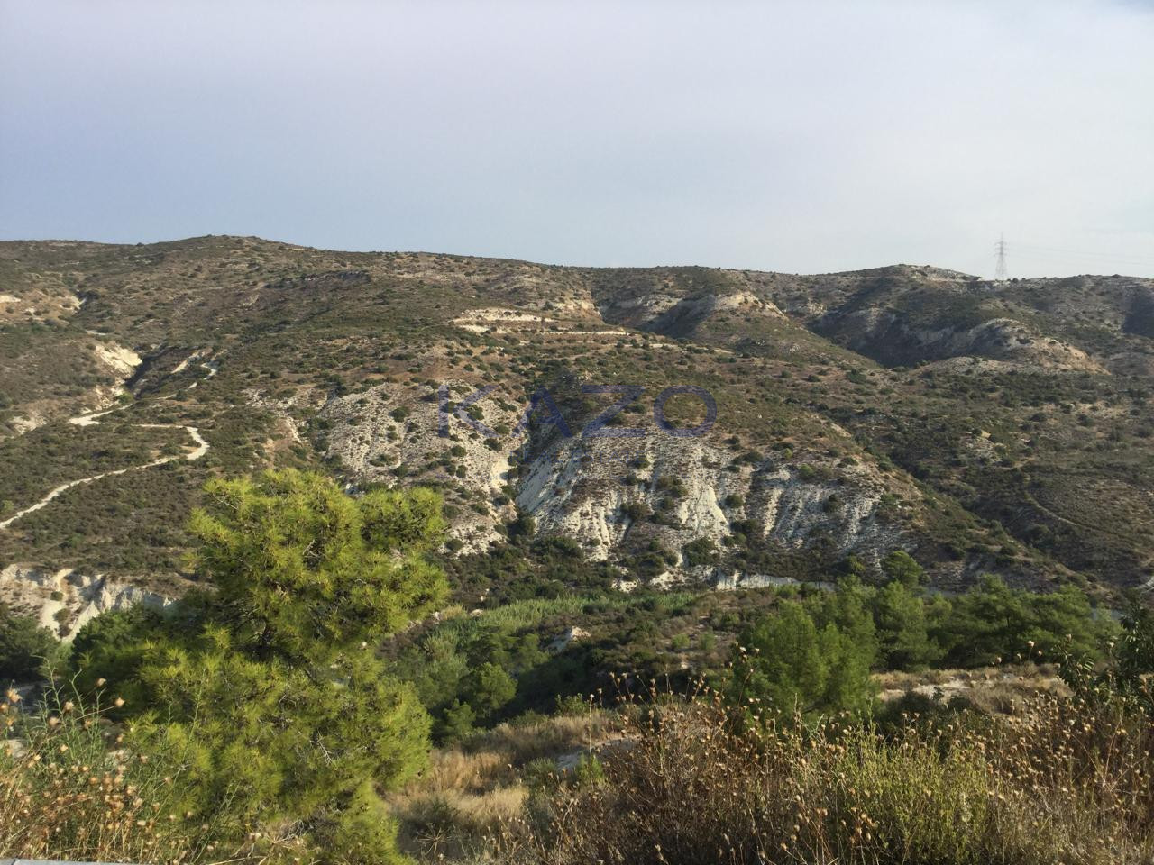 Agricultural field of 27,425 m² in Asgata, Limassol photo 1
