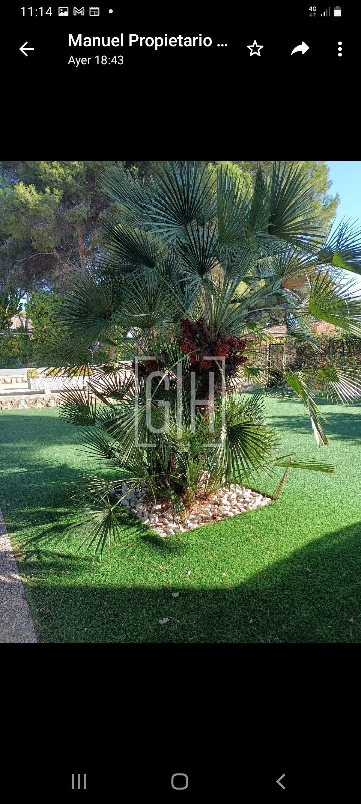 Property photo 6