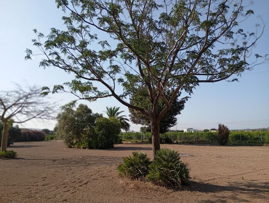 Villa in Almoradi - Image 4