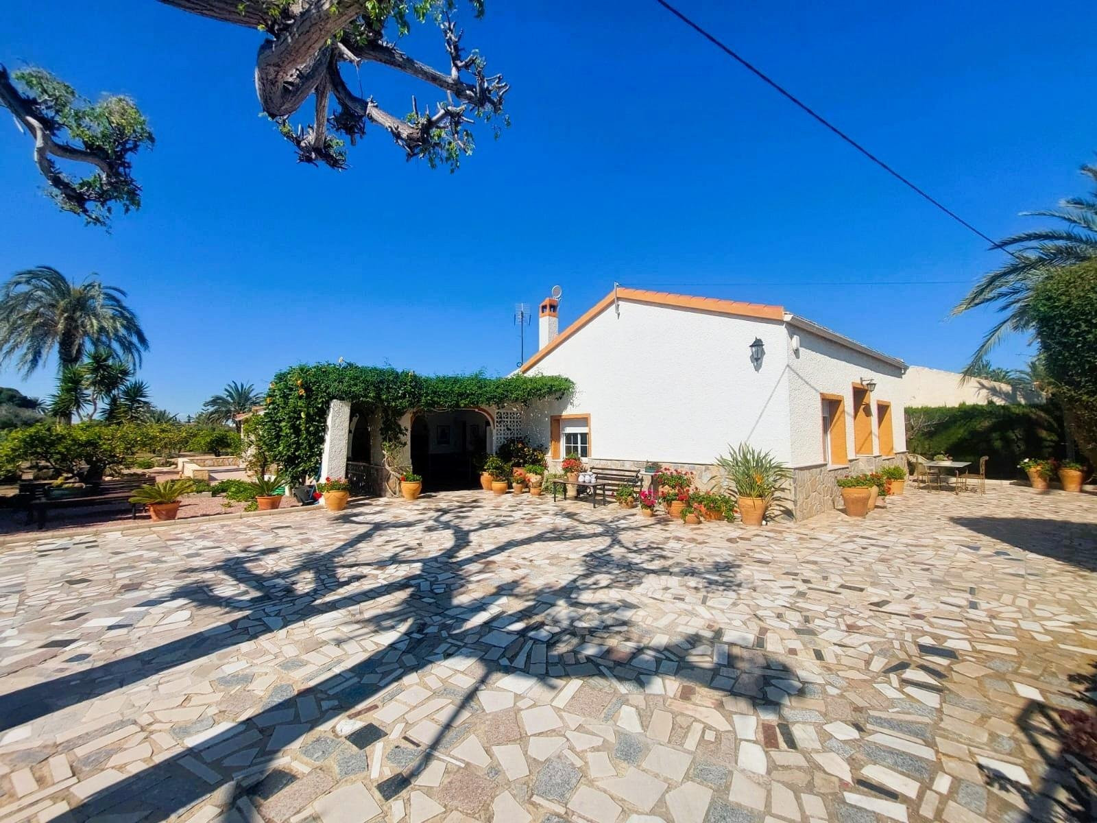 Farm, Ranch or Equestrian in La Marina - Image 3