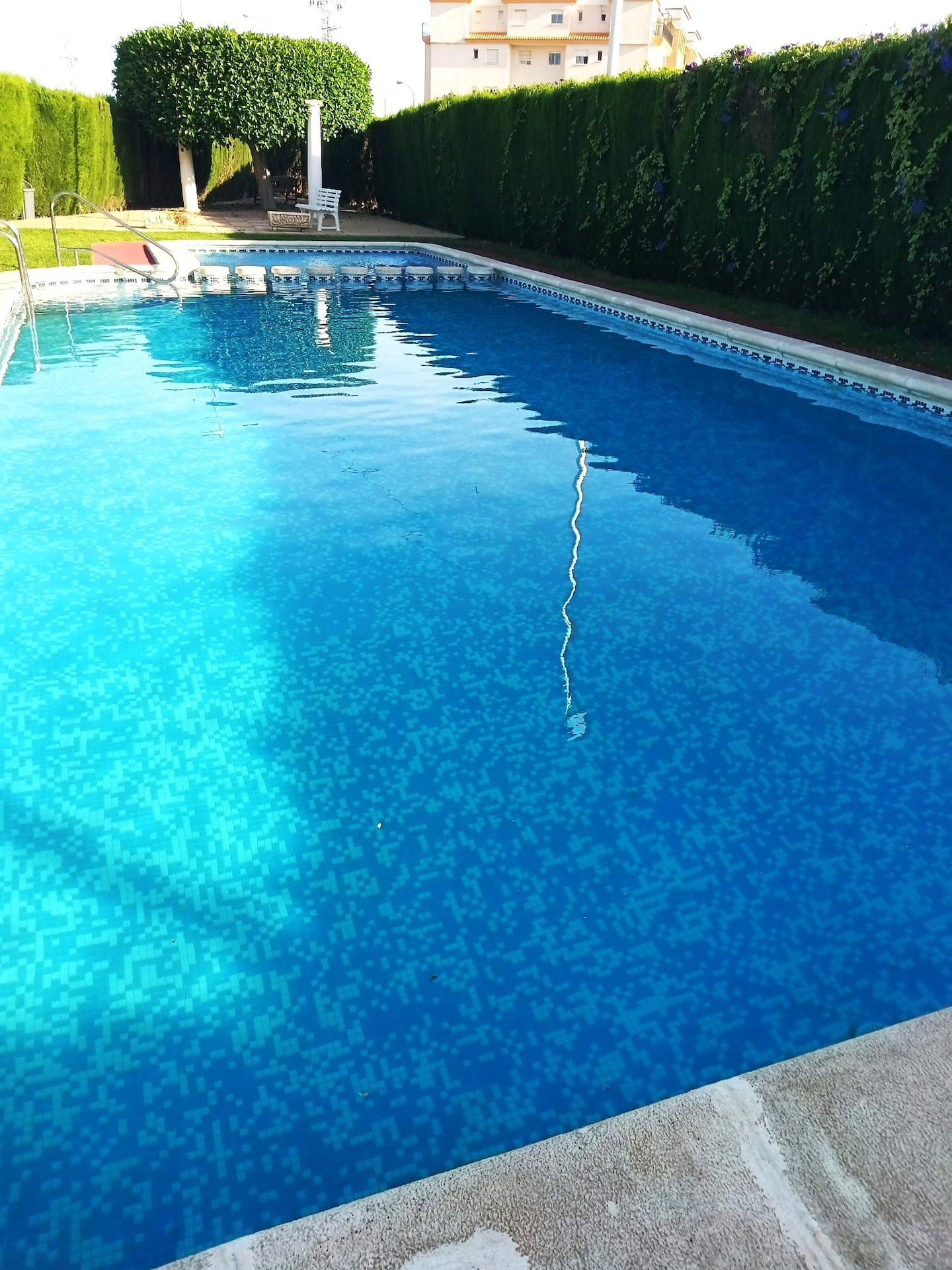 House in Playa Flamenca - Image 2