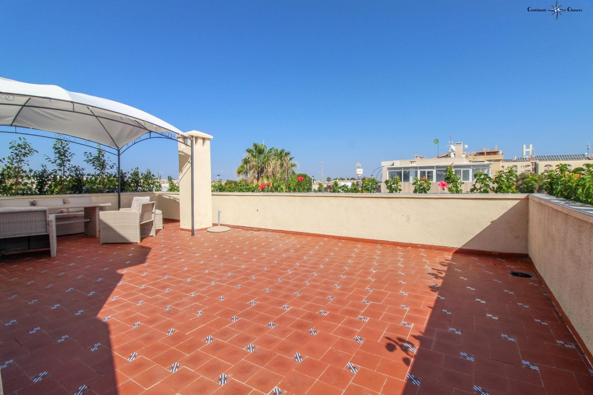 Apartment in Torrevieja - Image 3