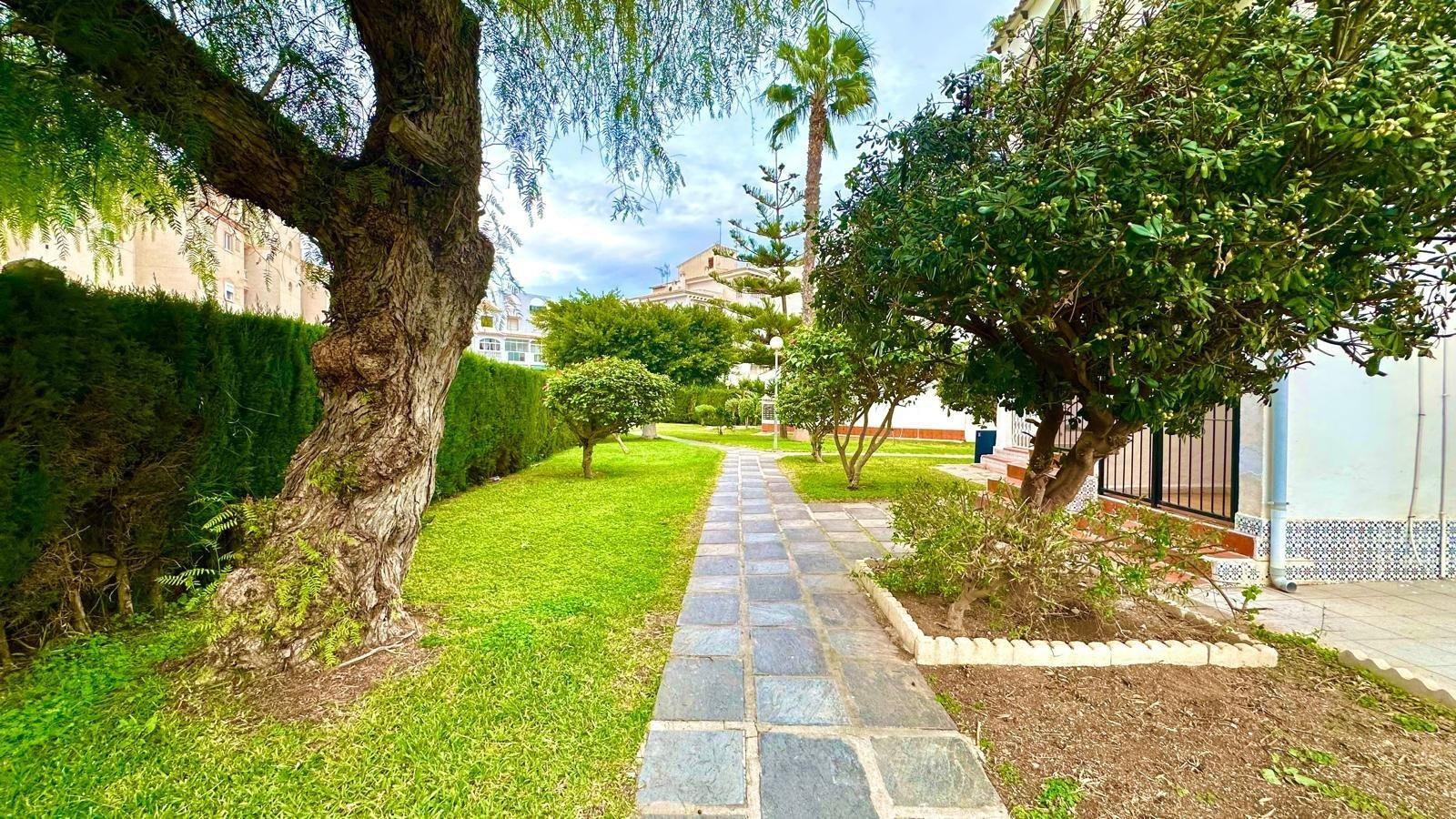 Apartment in Torrevieja - Image 5