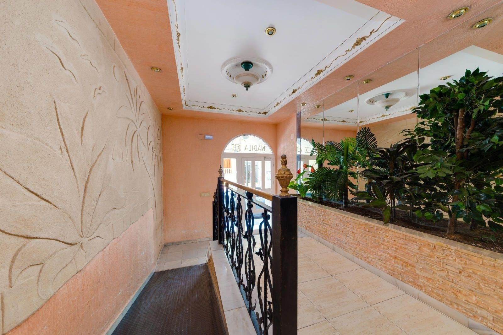 Apartment in Torrevieja - Image 4