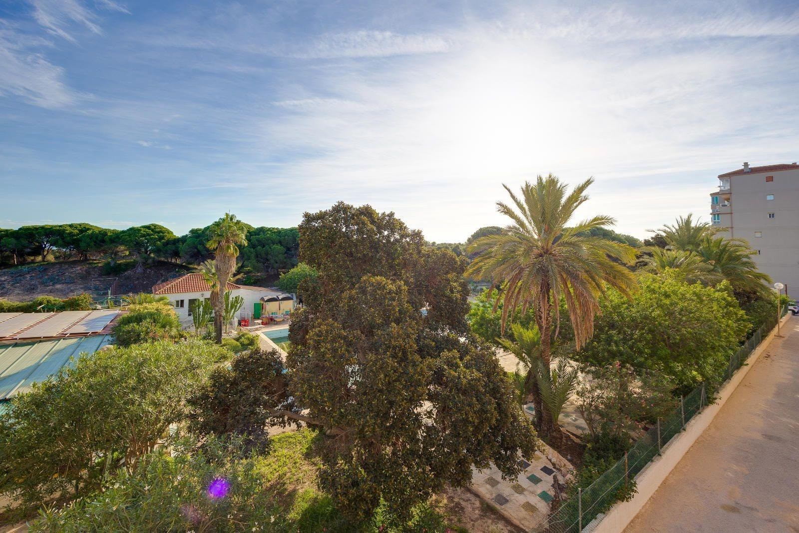 Apartment in Torrelamata - Image 5