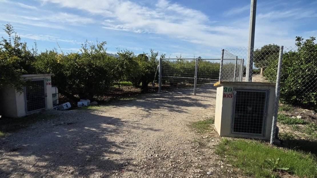 House in Albatera - Image 2