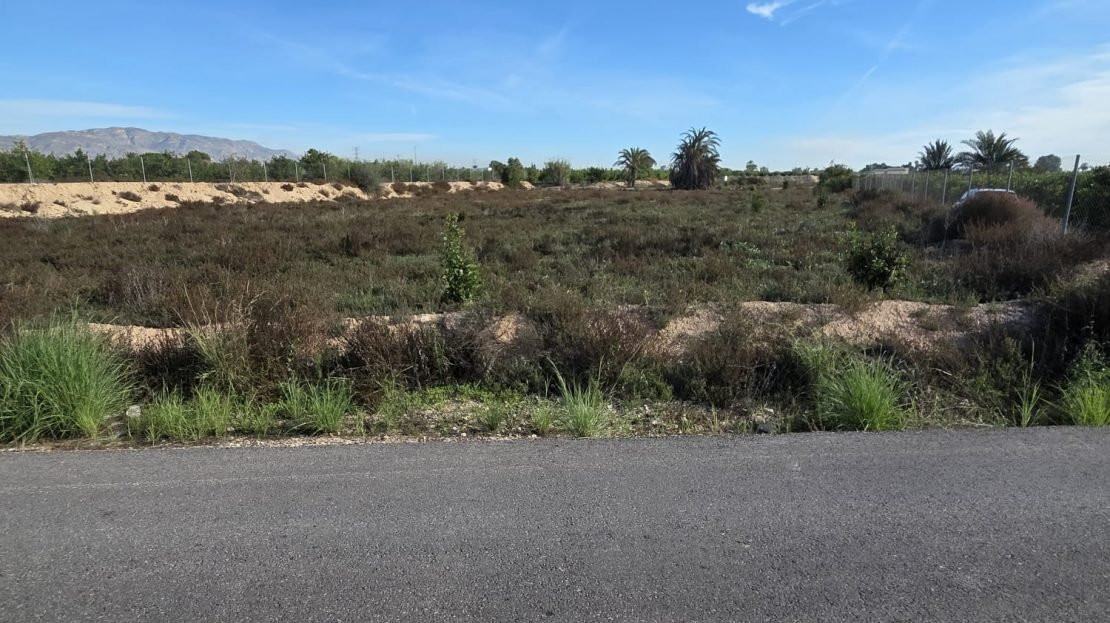 House in Albatera - Image 3