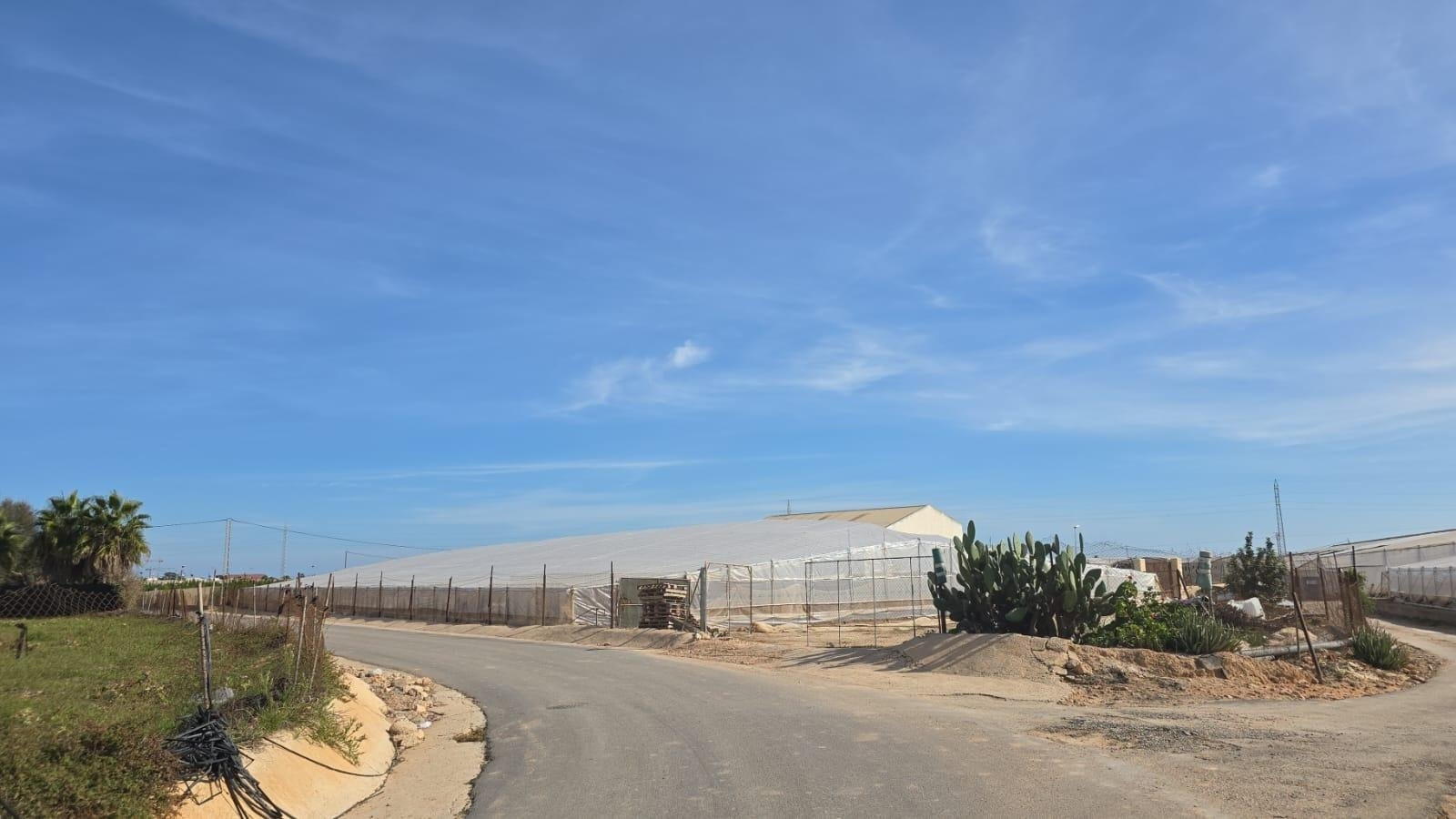 Farm, Ranch or Equestrian in Torre de la Horadada - view 1