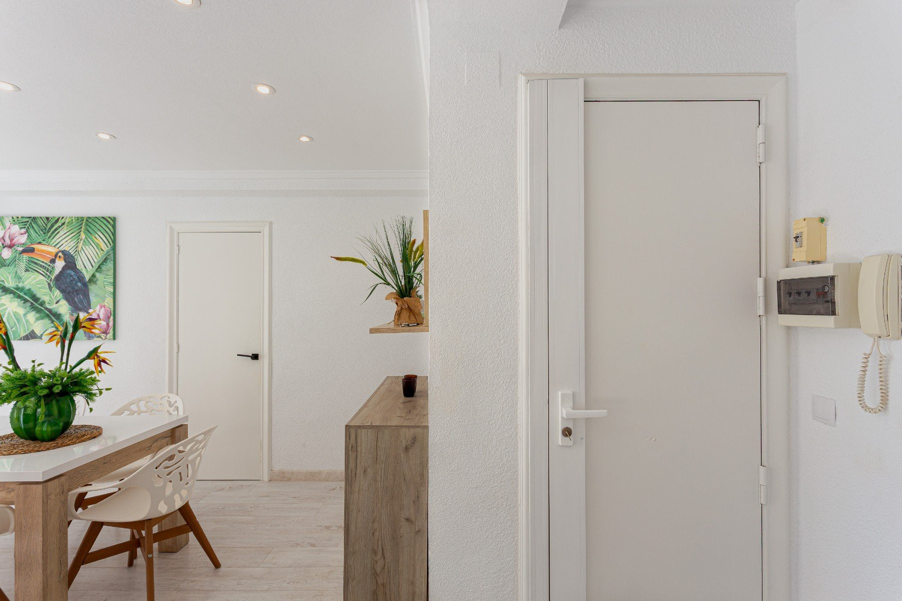 Apartment in Torrevieja - Image 4