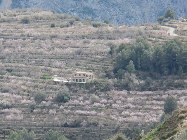 Farm, Ranch or Equestrian in Tarbena - Image 5