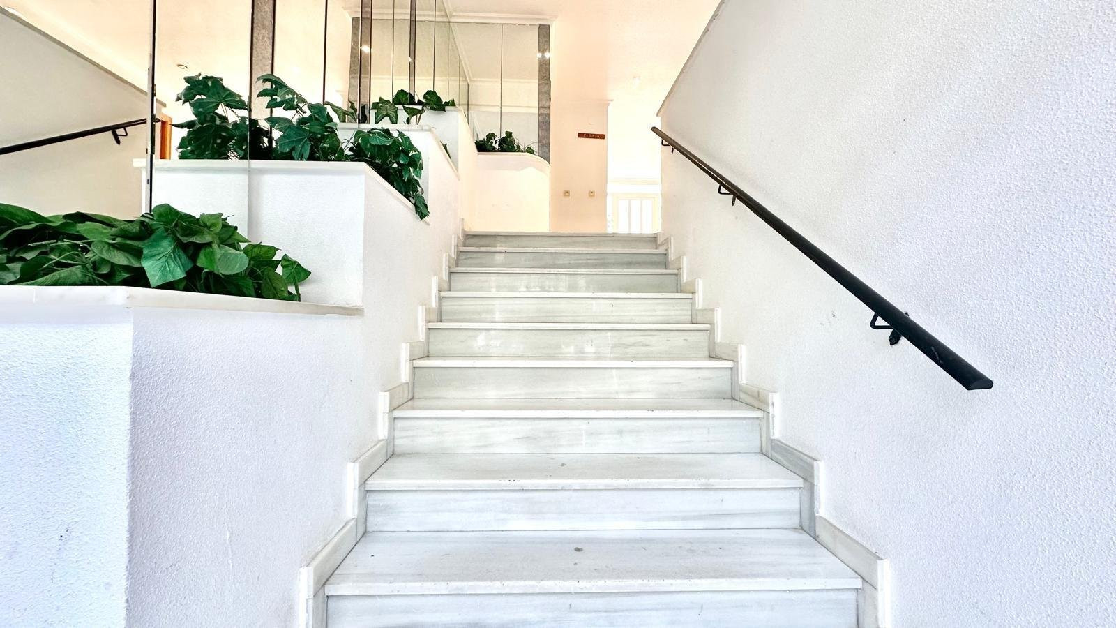 Apartment in Torrevieja - Image 4