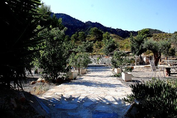 House in Casas del Cura - Image 4