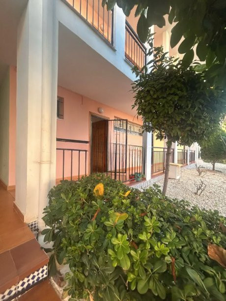 Apartment in Torrevieja - Image 2