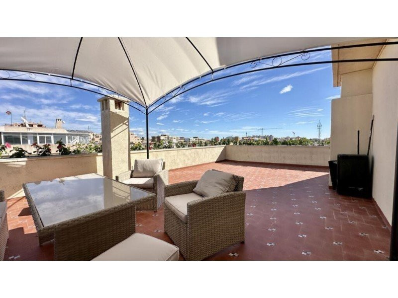 Apartment in Torrevieja - Image 2