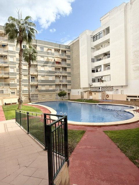 Apartment in Torrevieja - Image 2