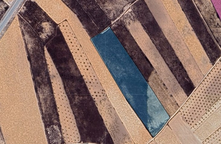 House in Pinoso - Image 3