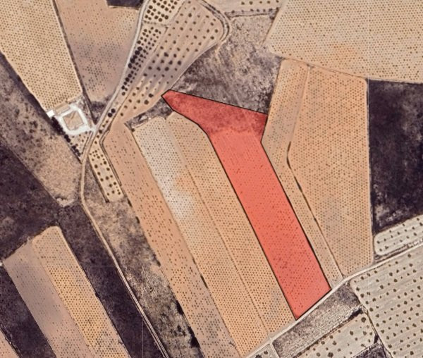 House in Pinoso - Image 4