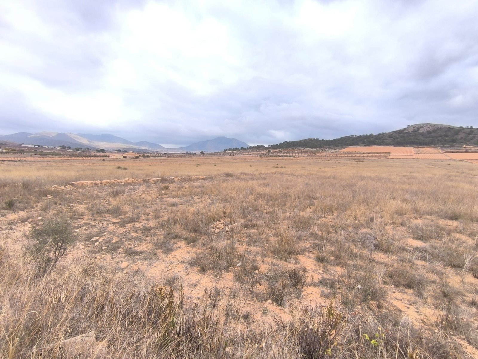 House in Pinoso - Image 3