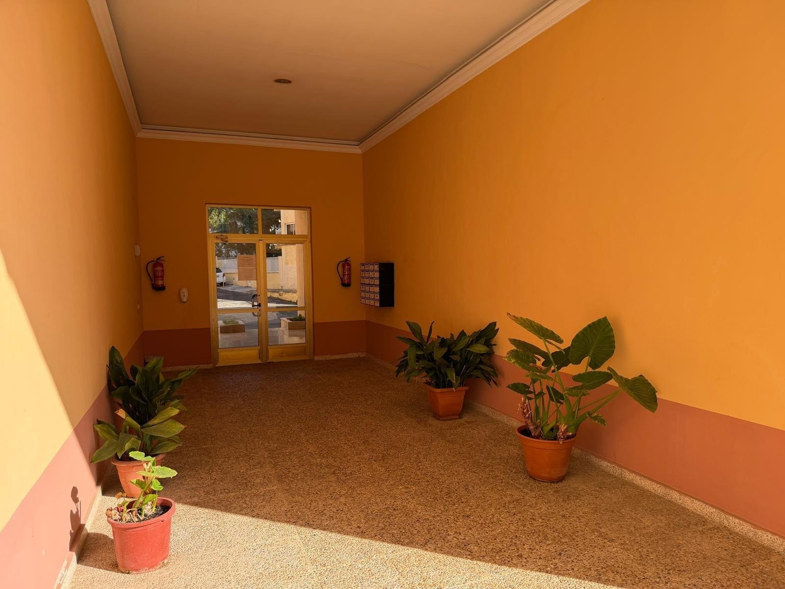 Apartment in Lo Pagan - Image 3