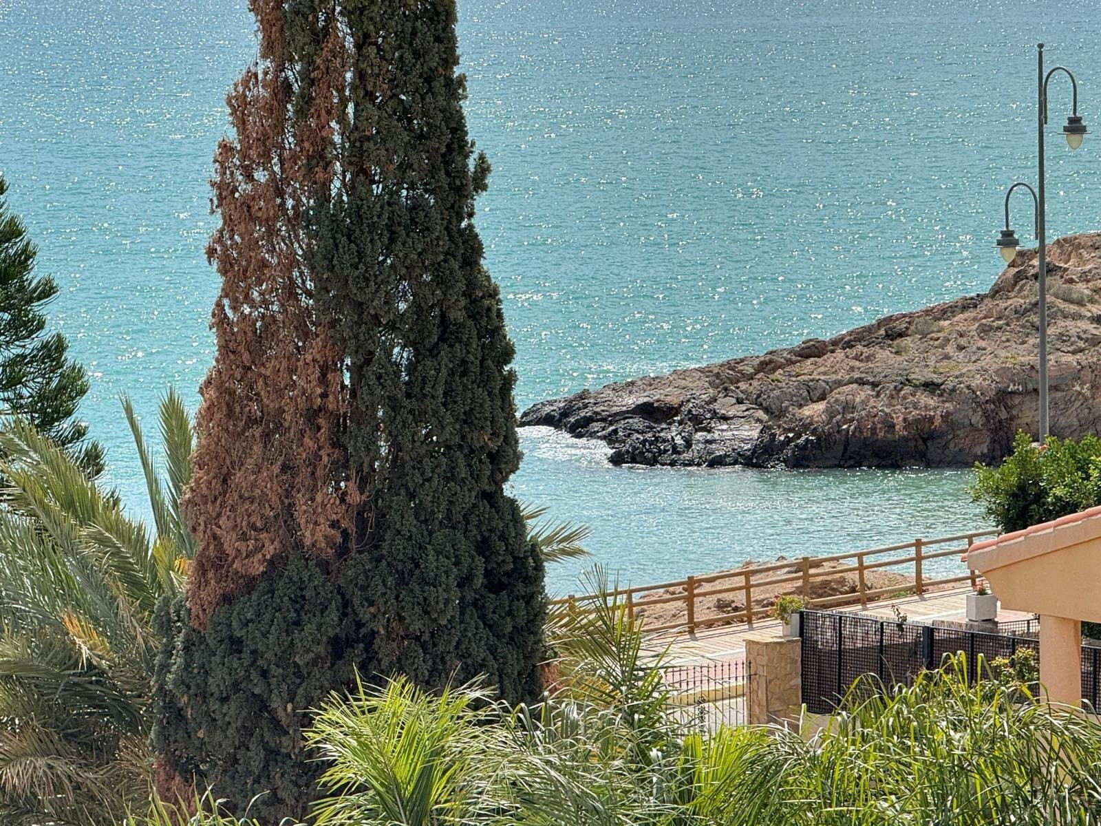 Villa in Bolnuevo - Image 2