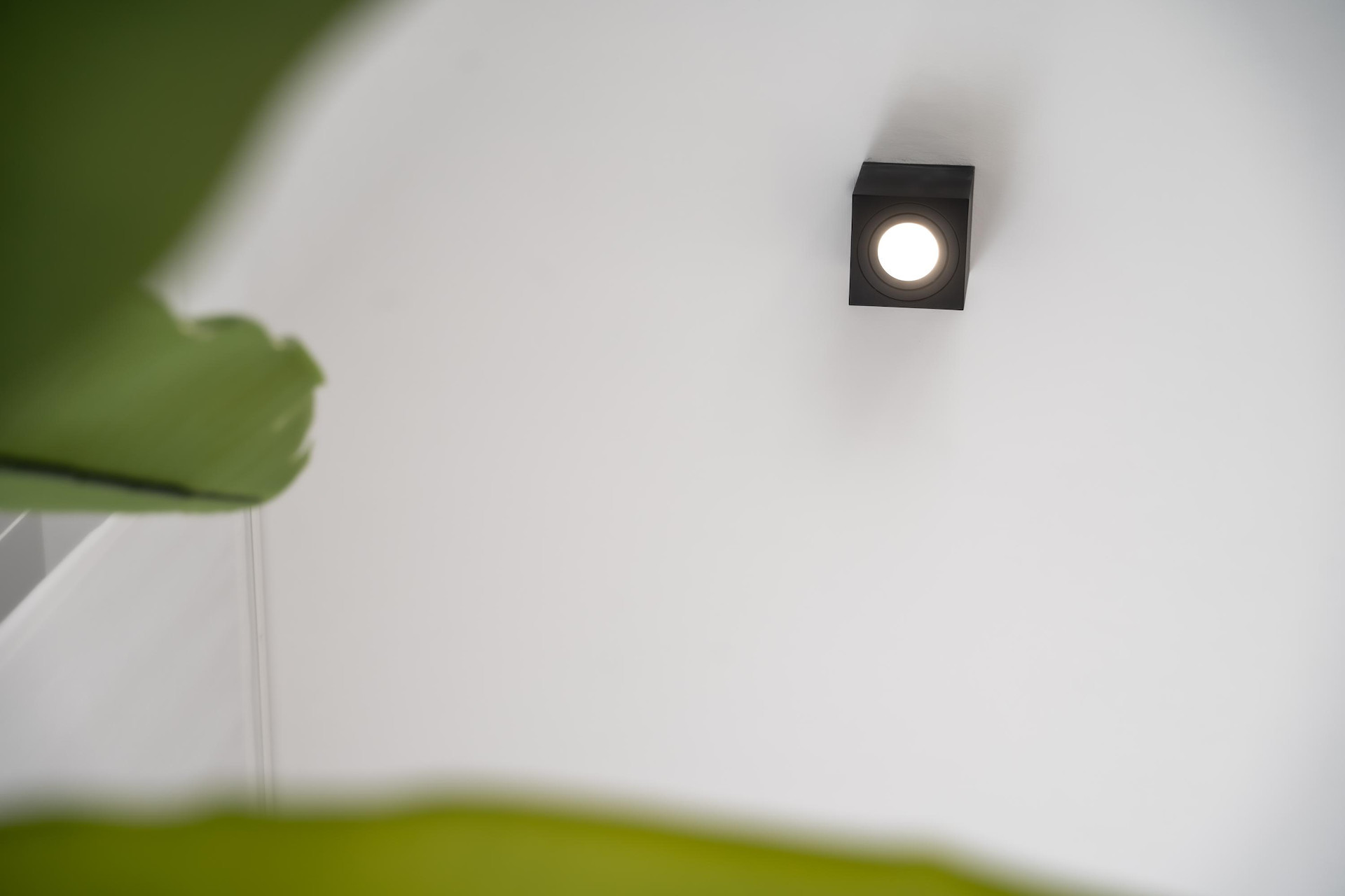 House in Punta Prima - Image 4