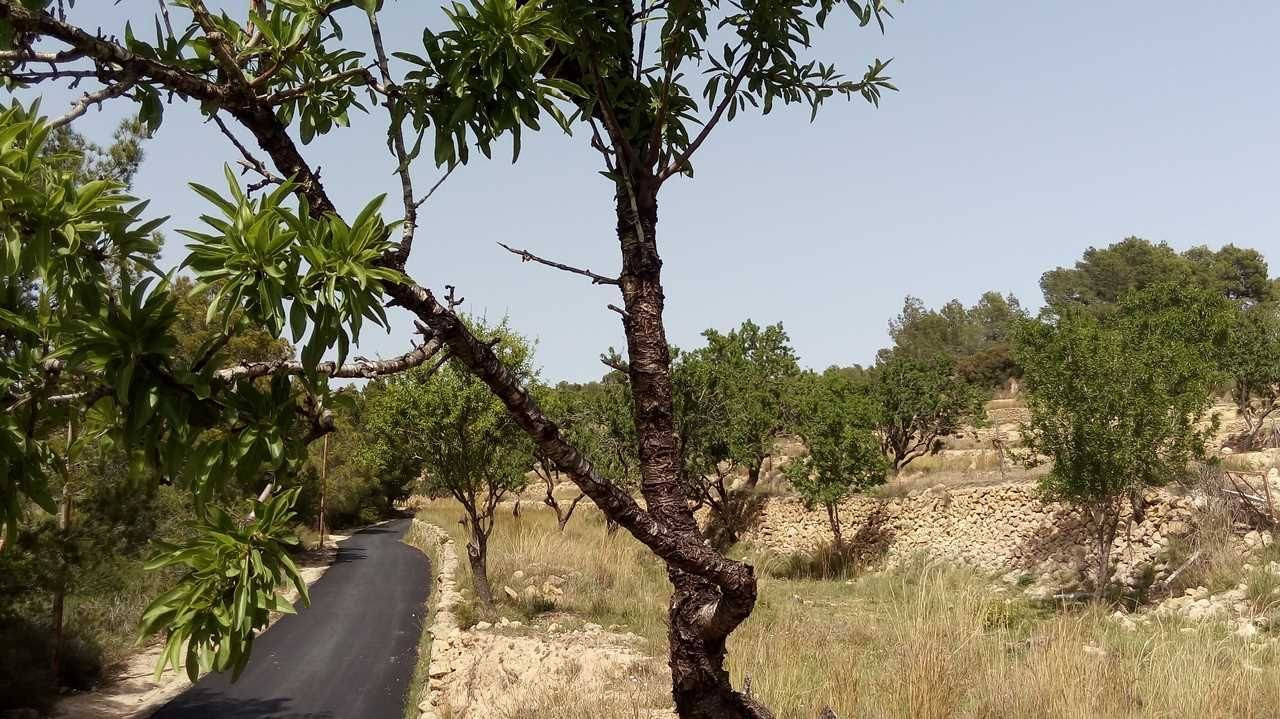 House in Benissa - Image 5