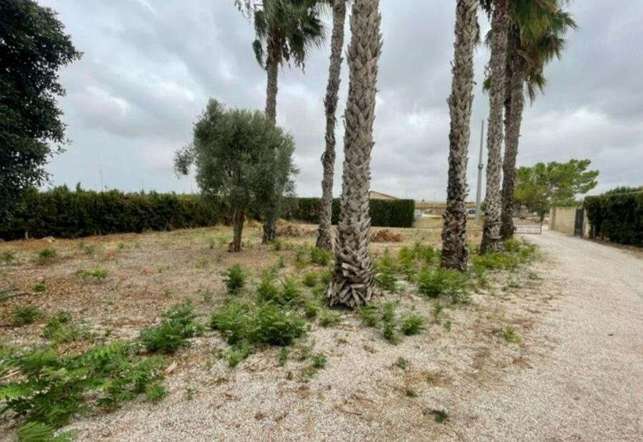 Villa in Daya Vieja - Image 2