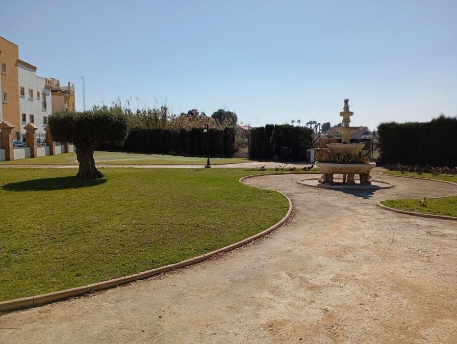 House in Catral - Image 4