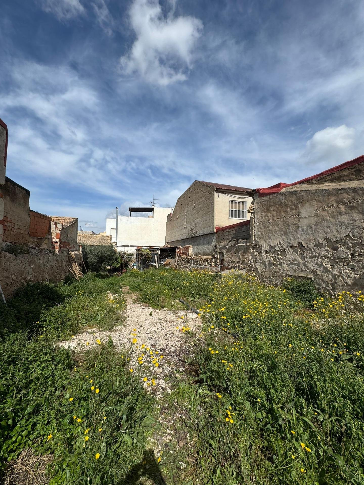 House in Jacarilla - view 1