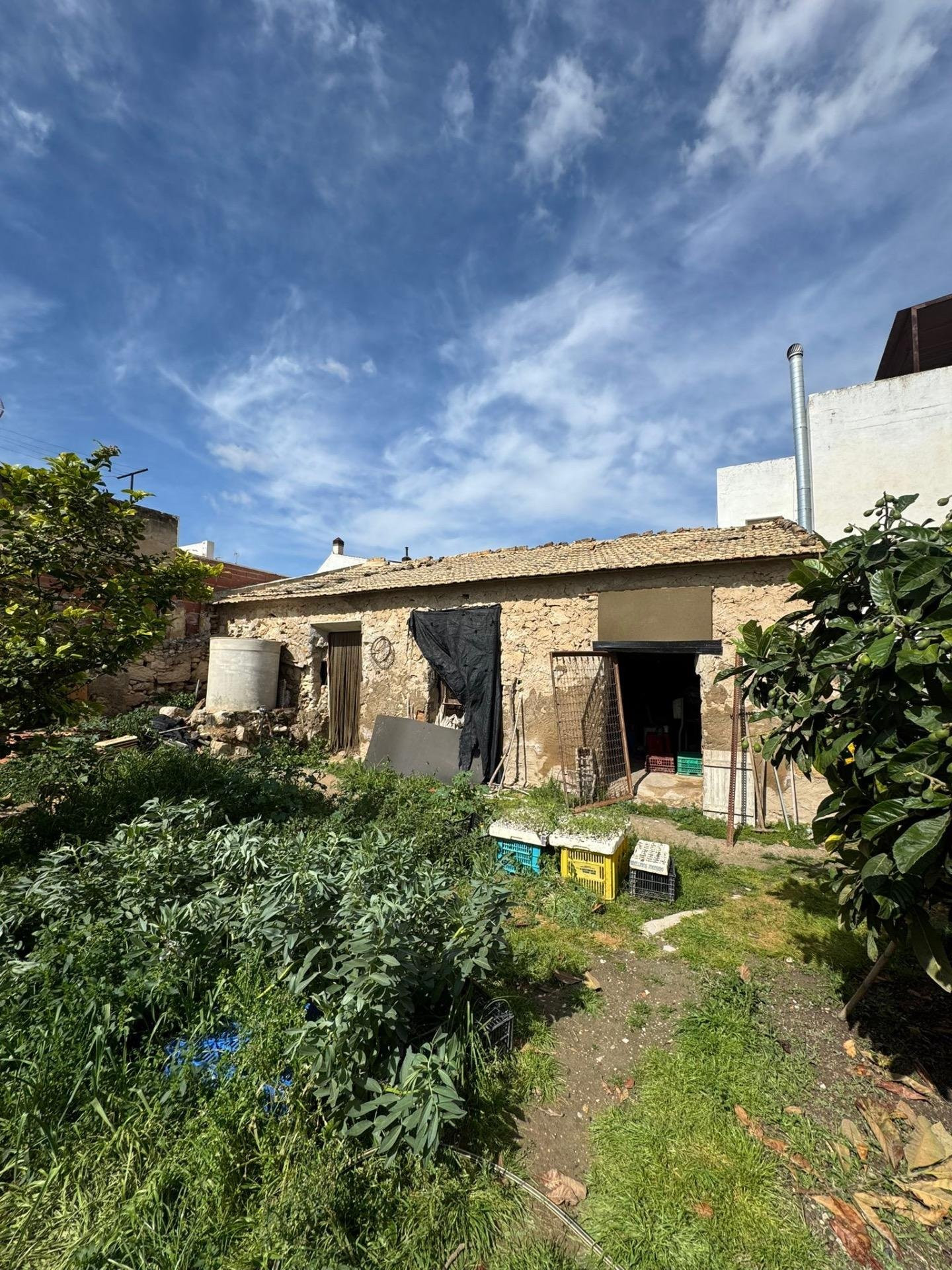 House in Jacarilla - Image 4