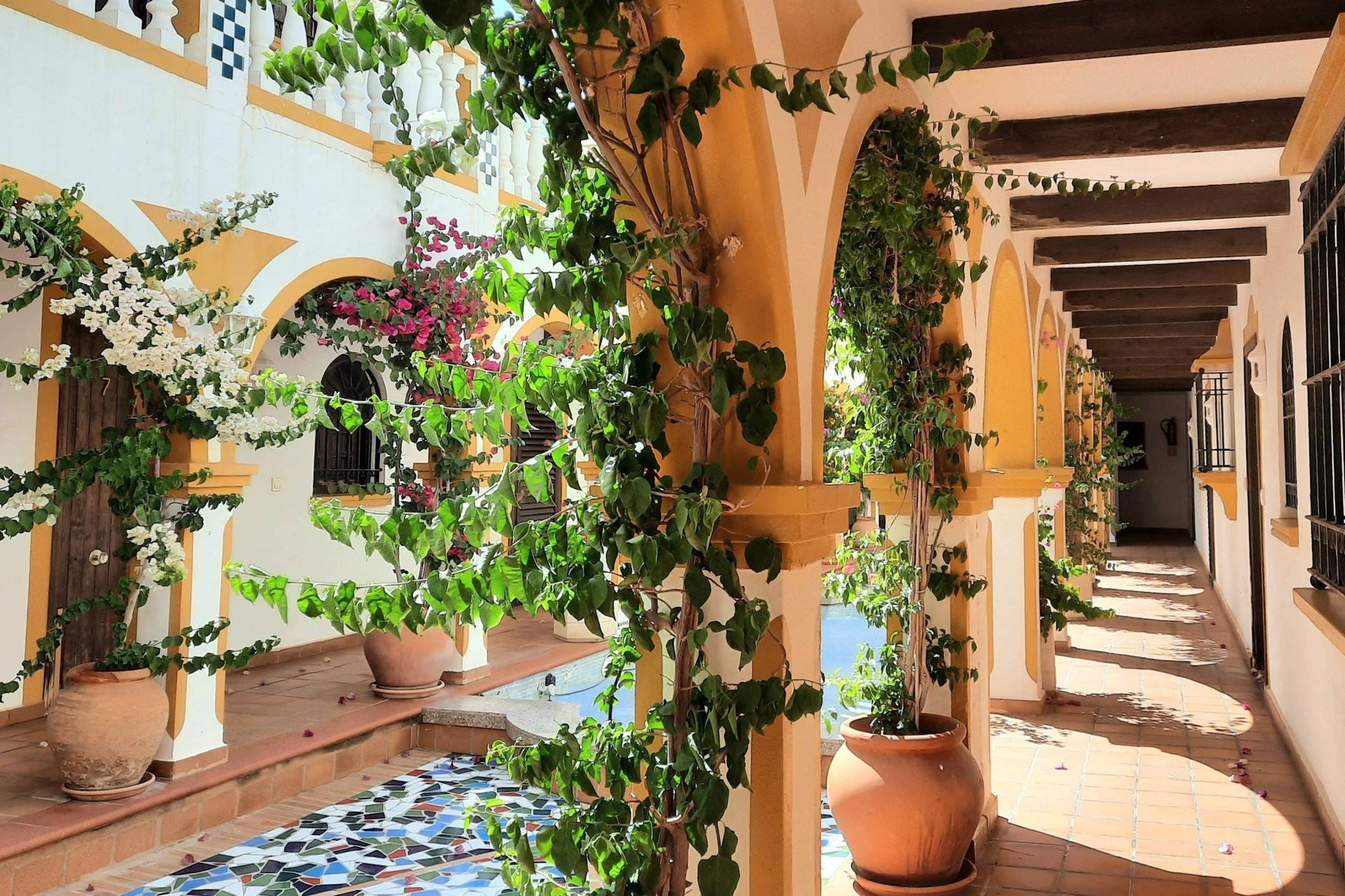 House in Torrevieja - Image 3