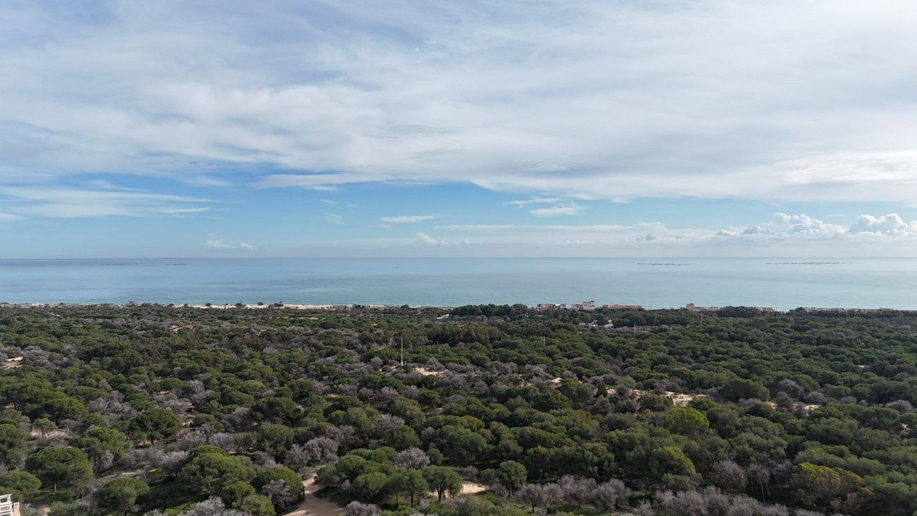 House in Guardamar del Segura - Image 2