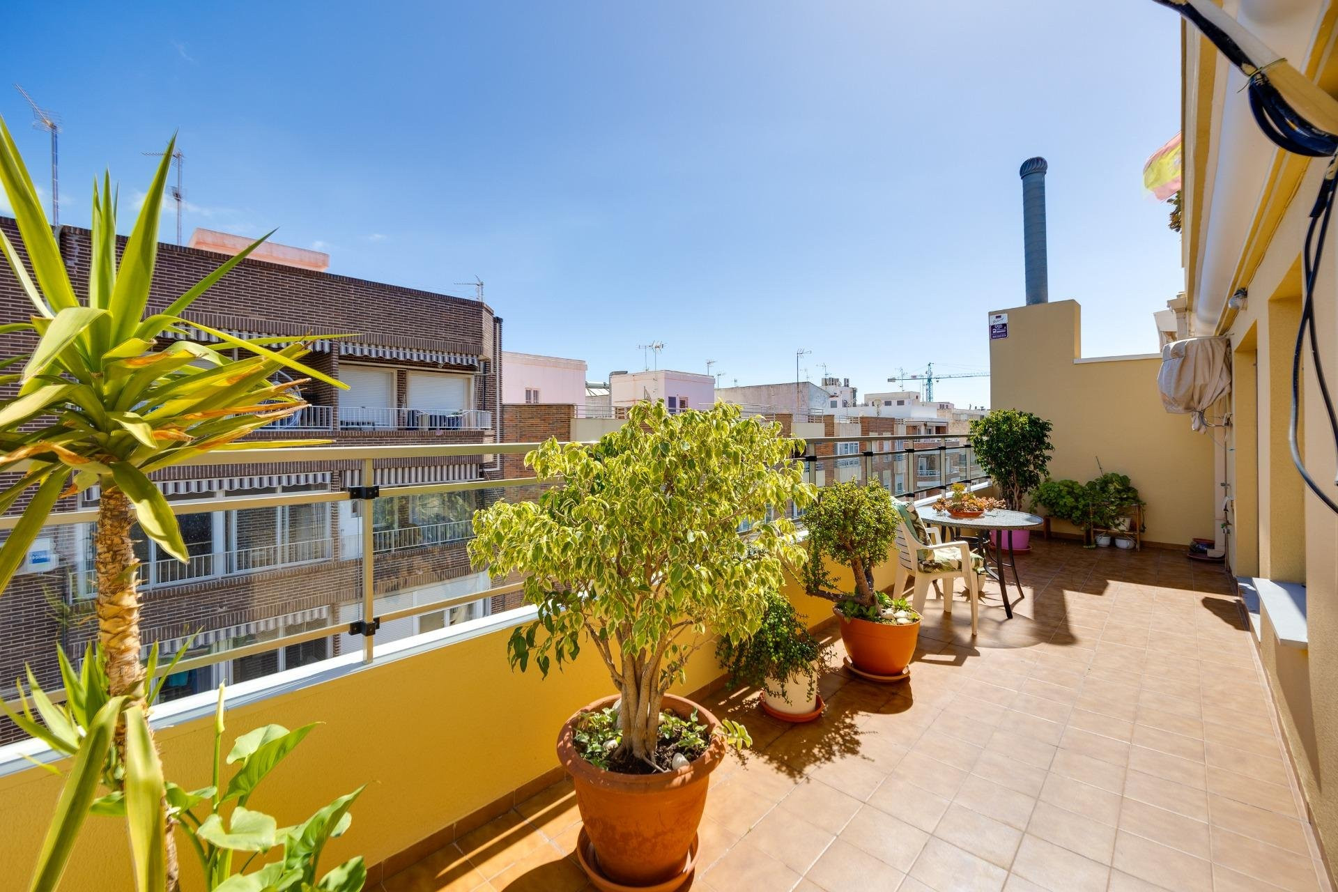 Apartment in Torrevieja - Image 5