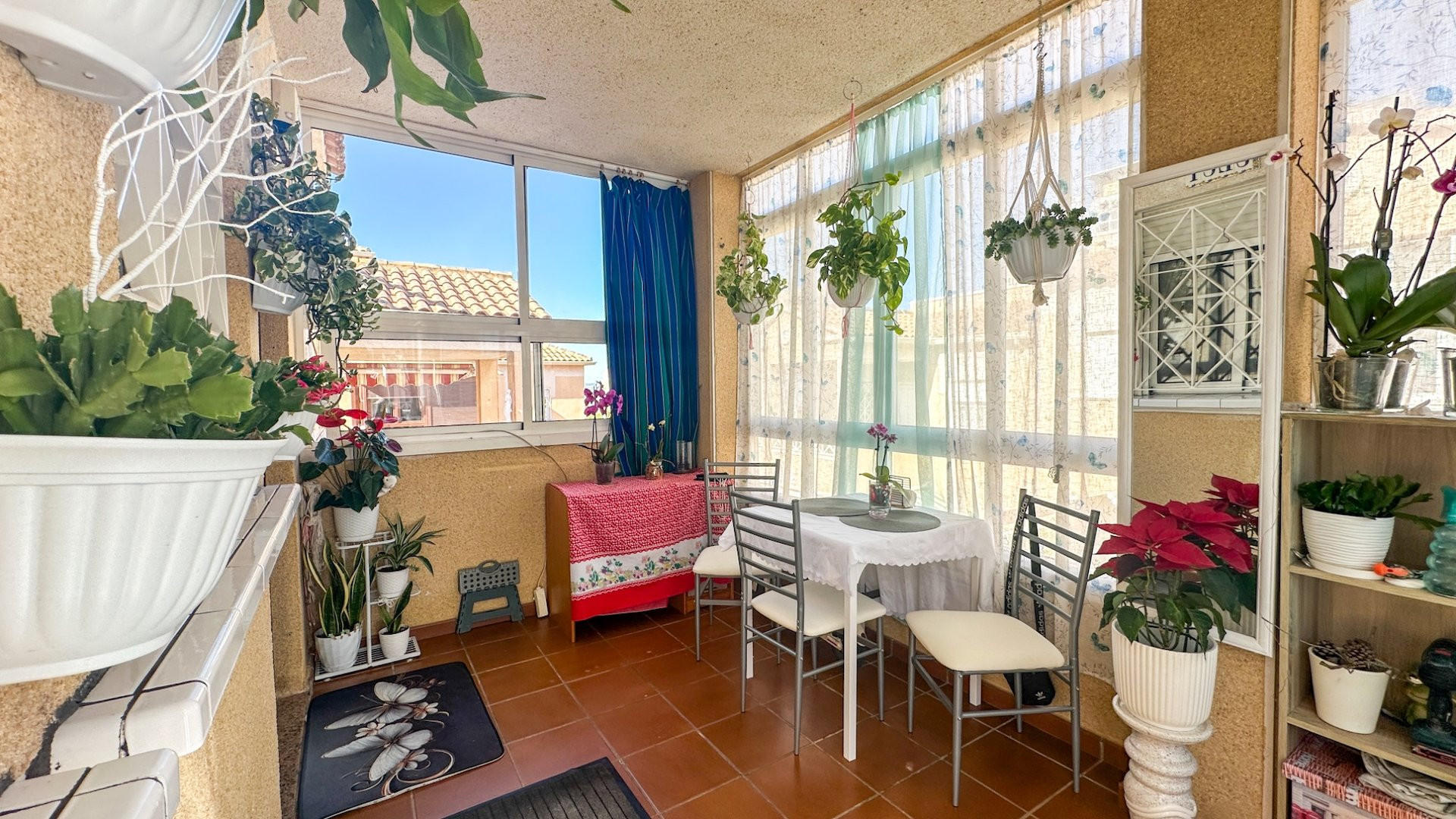 Apartment in Torrevieja - view 1