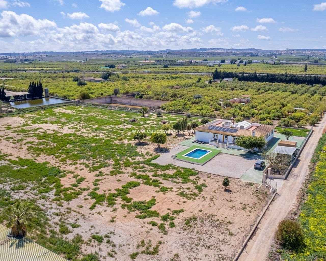 Villa in San Miguel de Salinas - Image 2